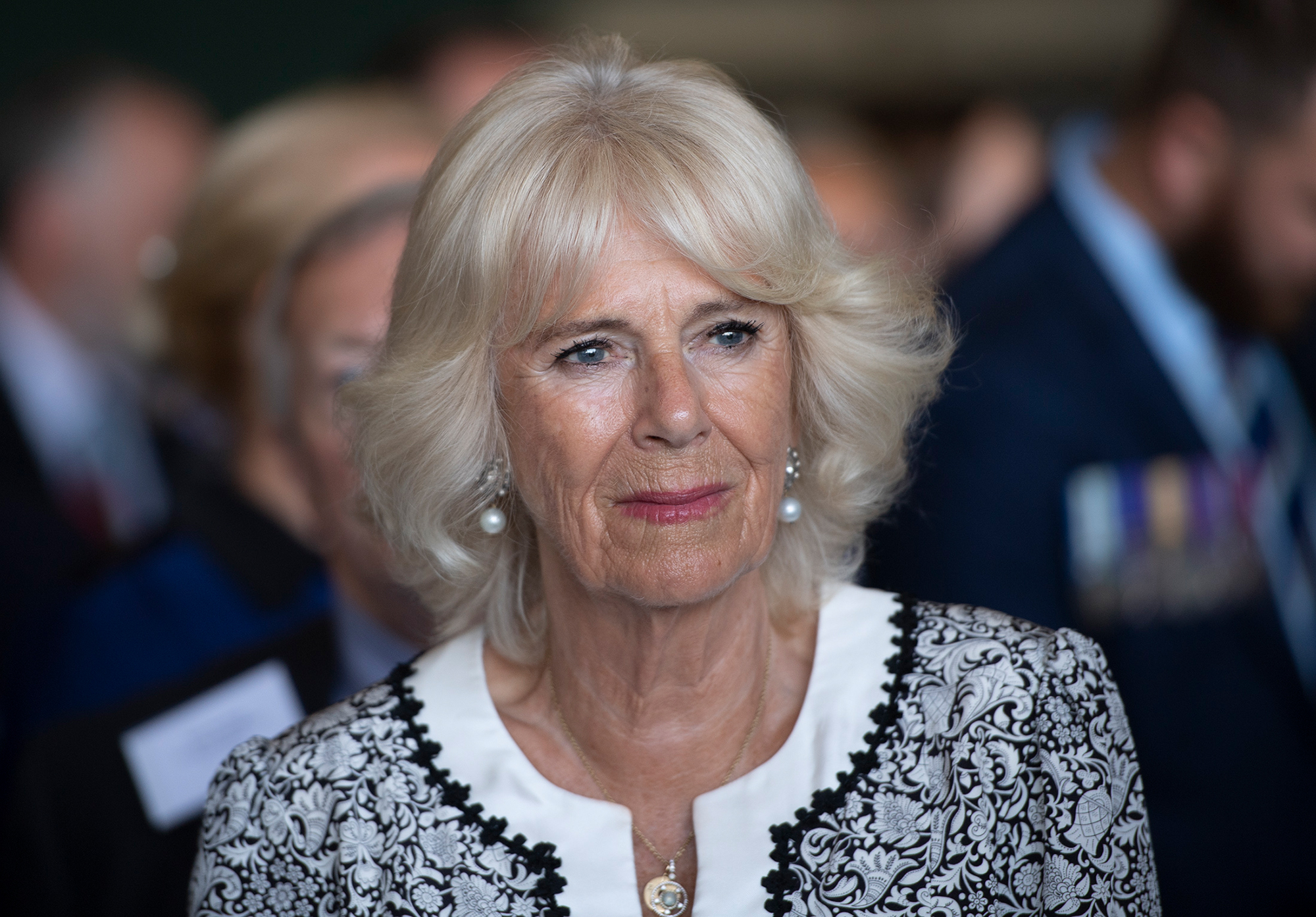 Чим займаються зведені брати і сестри Вільяма та Гаррі? Про це мало хто знає